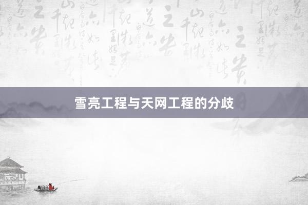 雪亮工程与天网工程的分歧